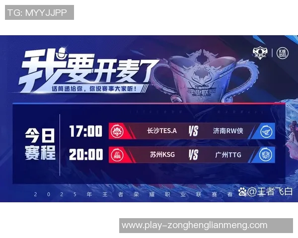 实时新闻王者荣耀深度解析揭开TES战队背后的强大实力与团队精神